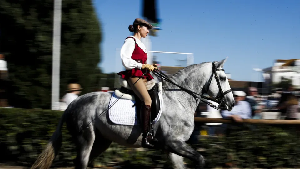 Golegã invests 600 thousand euros in the Horse Fair