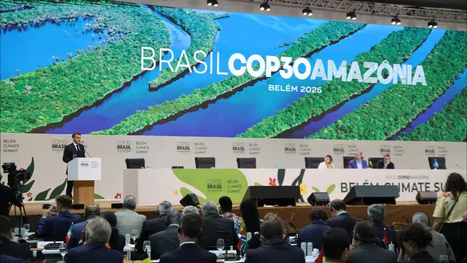 Good results at COP30? Environmentalists between skepticism and pessimism