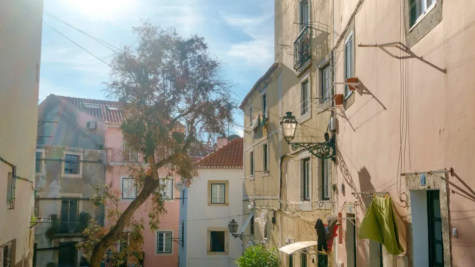 Government closes contest early. Residents point the finger.