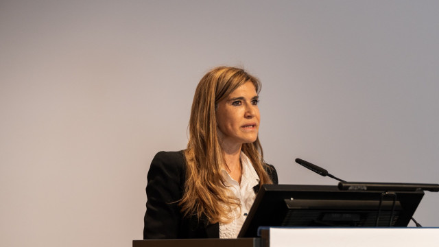 Group of dolphins spotted off the coast of Póvoa de Varzim. There is video.