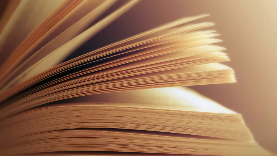 Hélder Teixeira Aguiar wins Agustina Bessa-Luís Revelation Award