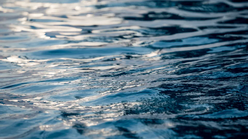 IGAMAOT collected water and waste samples from companies targeted in searches