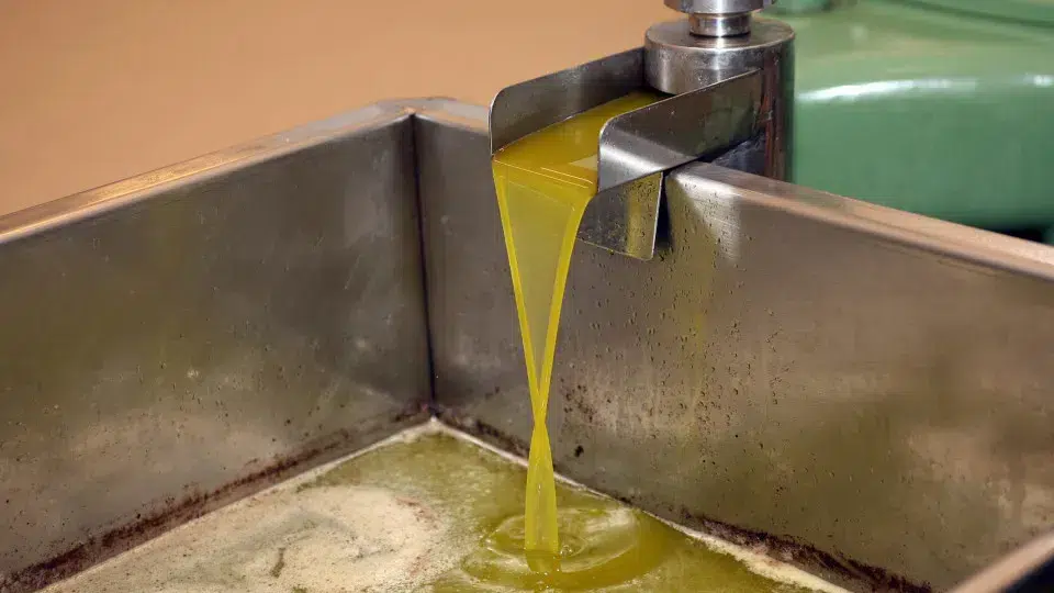 International trade in olive oil is expected to reach a "historic record"