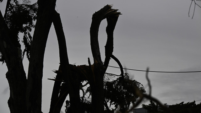 IPMA confirms "tornado" in the Algarve with wind gusts of 220 km/h