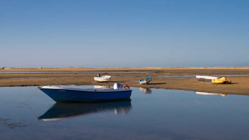 LIFE Project recovers habitats and bird populations in Ria Formosa
