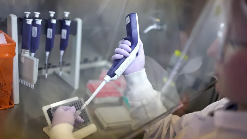 Macau bans the import of meat coming from Porto due to avian flu.