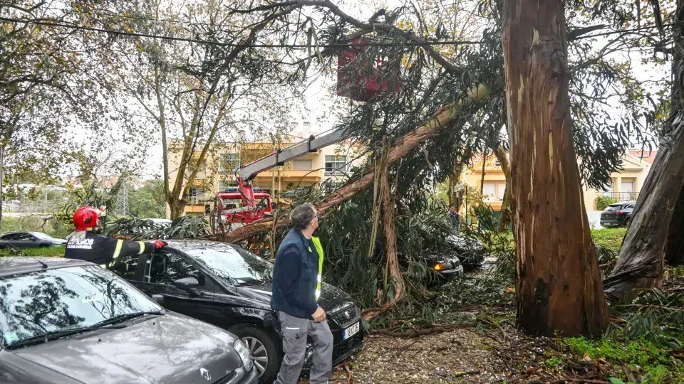 Mainland Portugal records 198 occurrences during the early morning.