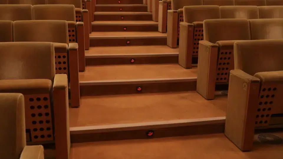 "Manual of the Good Fascist" premieres at Setúbal Animation Theater