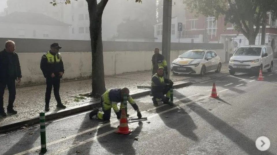 Menezes says he had "plenty of reasons" to dismantle the bike path in Gaia