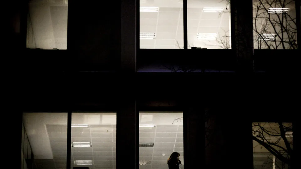 Number of companies created rises to a 20-year record high