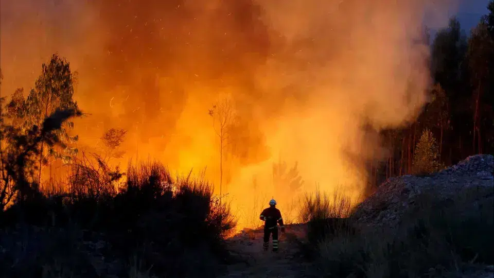 OECD report points to "coordination failures" in the fires of 2024 and 2025