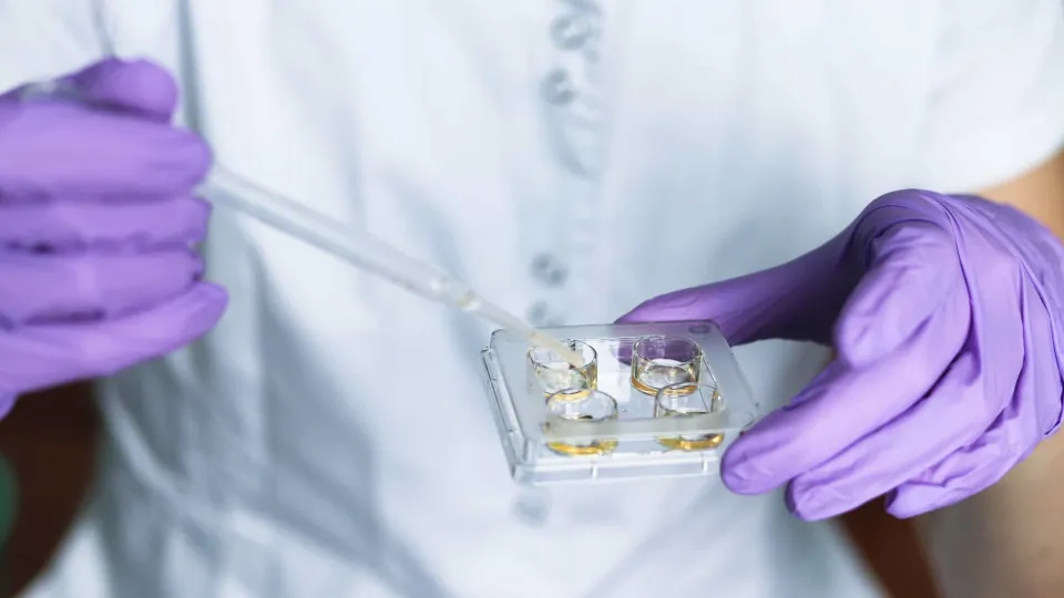 Physics and Chemistry teachers out of competition for disadvantaged schools