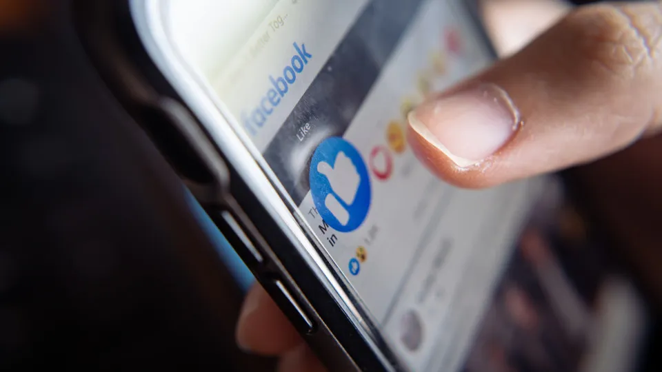 Presidential. ERC and LabCom-UBI will monitor disinformation on social media.