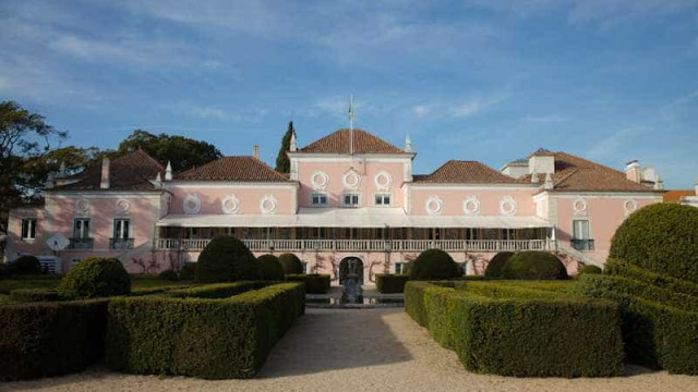 Presidential? "Seguro doesn't want to be a left-wing candidate"