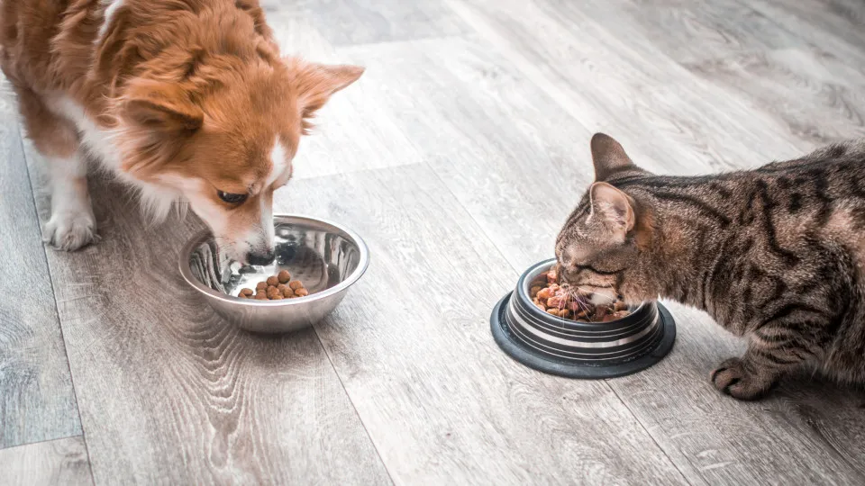 Prolonged VAT exemptions for fertilizers and pet food