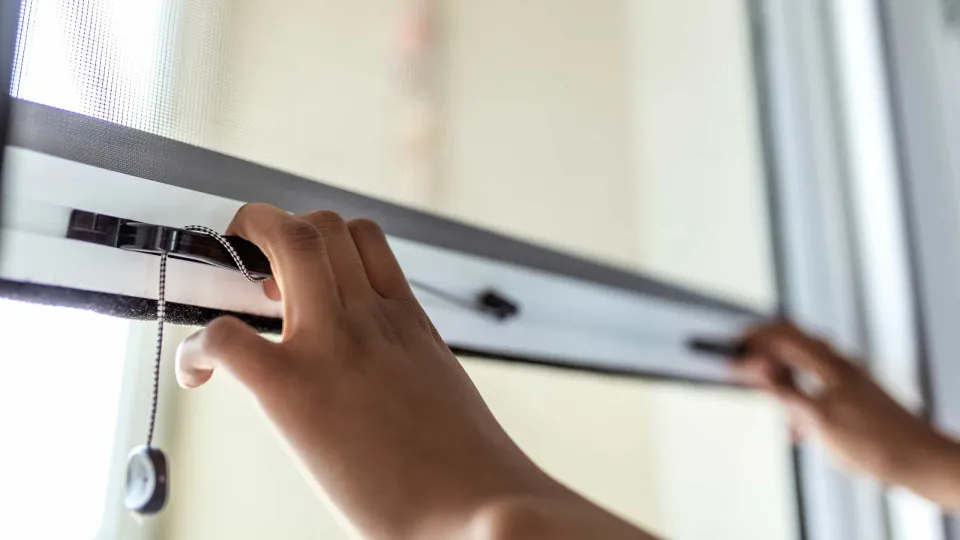 PS/Açores warns that housing is the "biggest problem" in the region