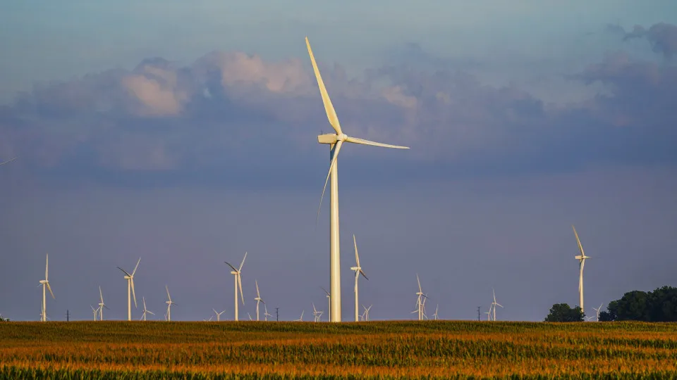 Renewables supply half of the consumption, the lowest value in 2 years