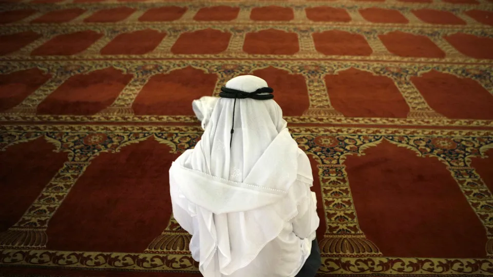 Saudis "very interested" in investing in Portugal