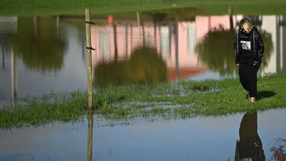 Seven districts on 'yellow' alert due to heavy rain and thunderstorms. What to expect?