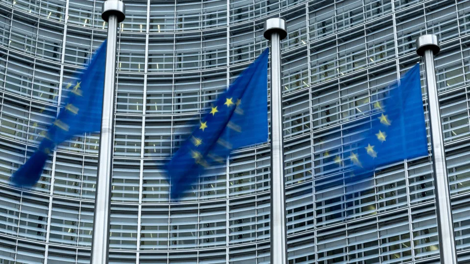 Shein? Brussels takes illegal online sales seriously and will take action