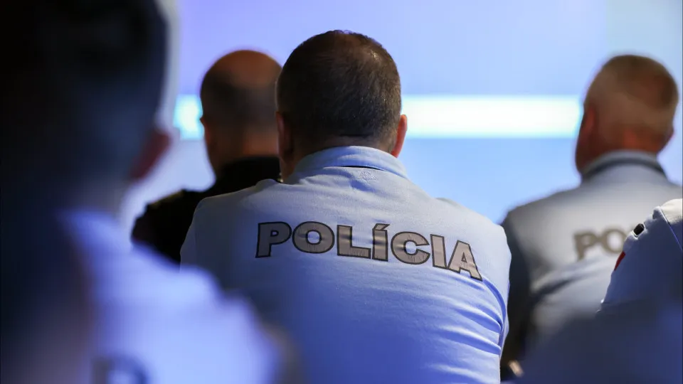 Suspect detained by PSP in Faro for 17 crimes remains in preventive detention.