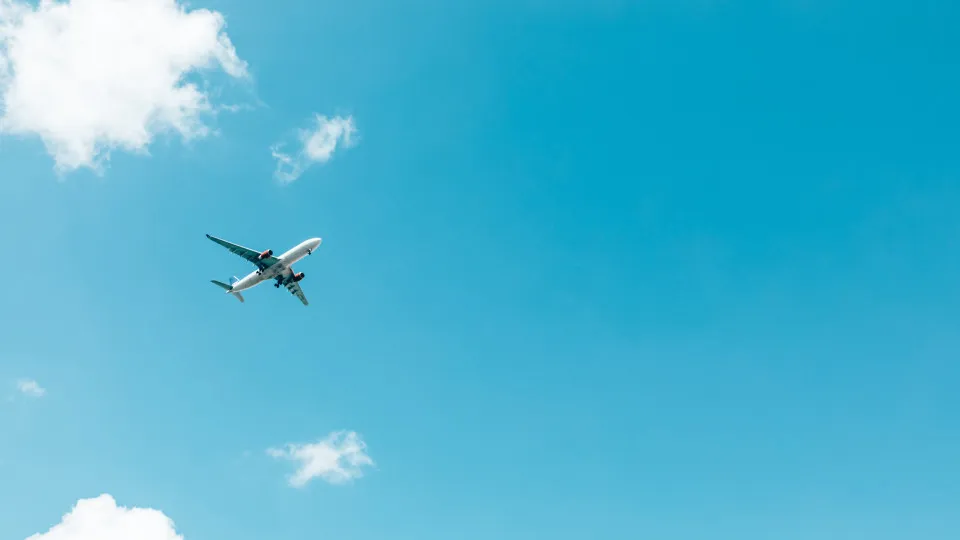 Taking advantage of Black Friday to book a trip? Flights are "24% cheaper"