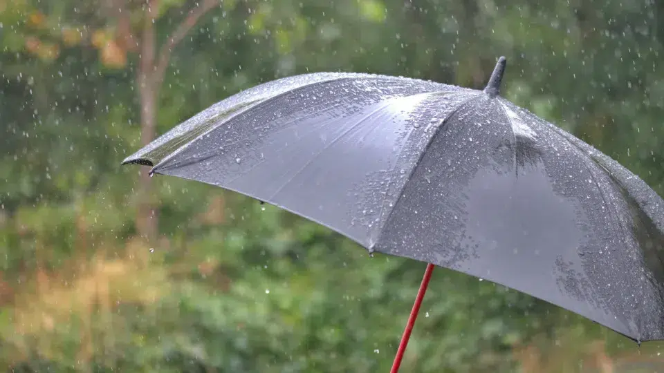 The weekend will be "very rainy" with several districts under warning on Saturday