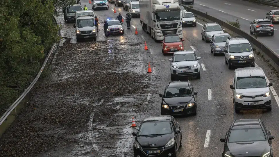 Traffic cut off in Porto at the Bessa, AEP, and Campo Alegre viaducts.