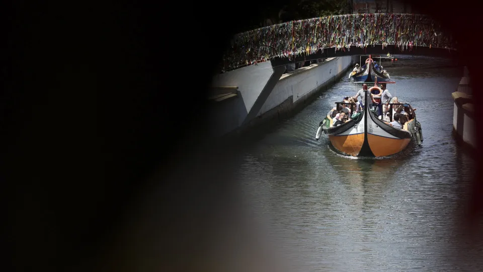 UNESCO will decide on the inclusion of moliceiro in the urgent safeguarding list.