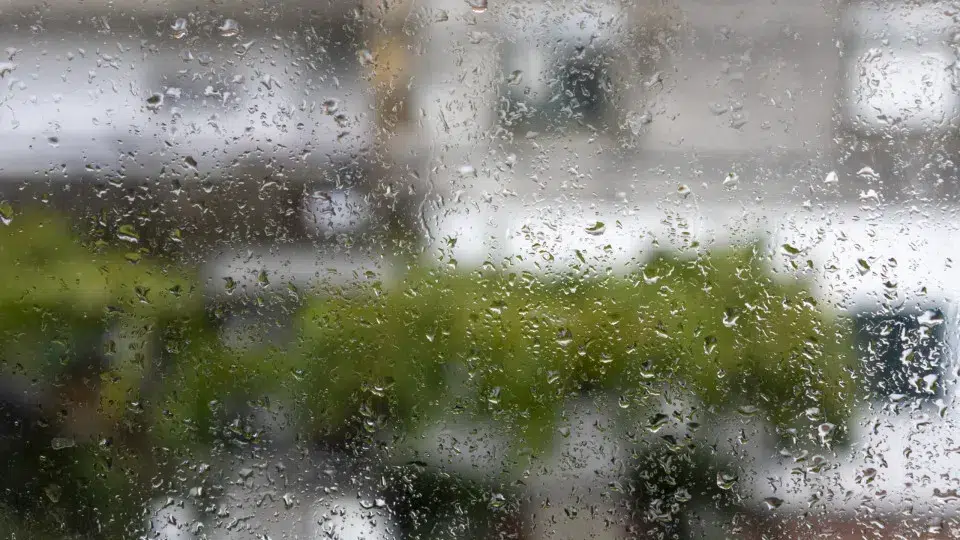 Warning for Madeira due to the passage of depression Claudia