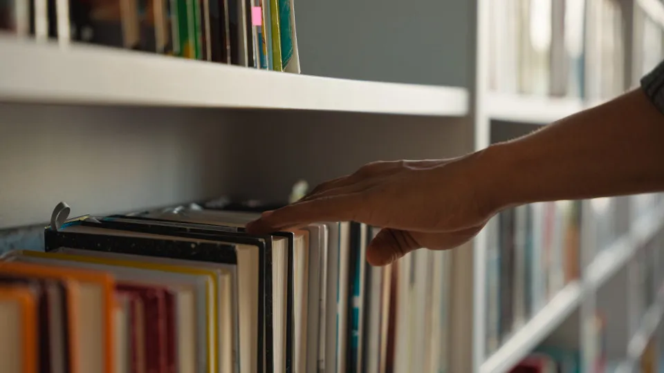 Youth literature and manga dominated preferences for 'book-check'