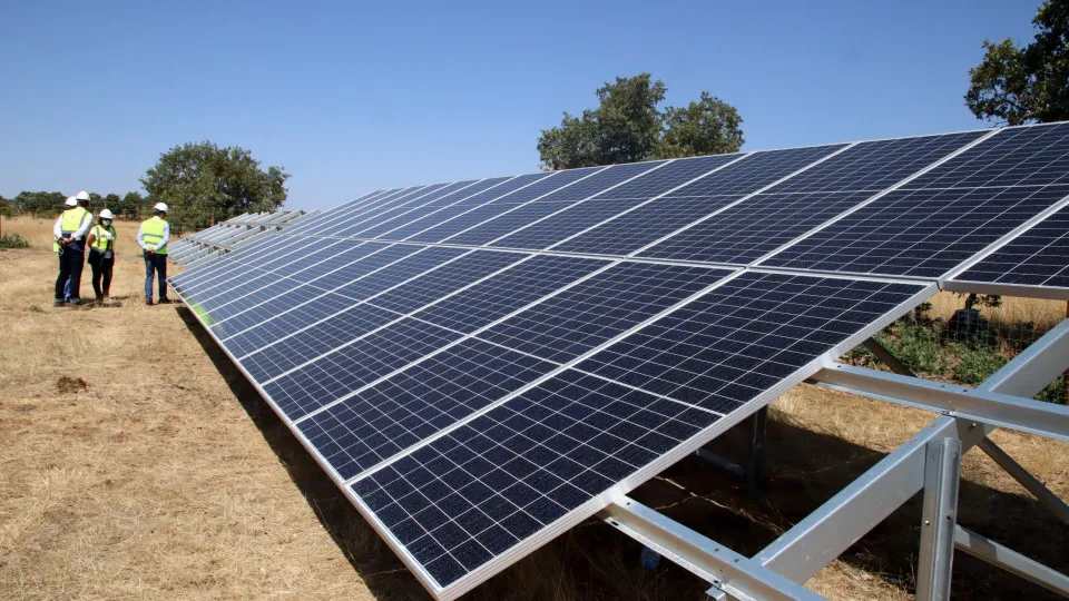 Zero Association against the Sophia photovoltaic power plant project