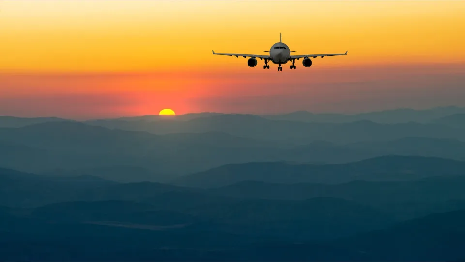 ZERO returns to advocating for raising VAT to the maximum rate on domestic flights