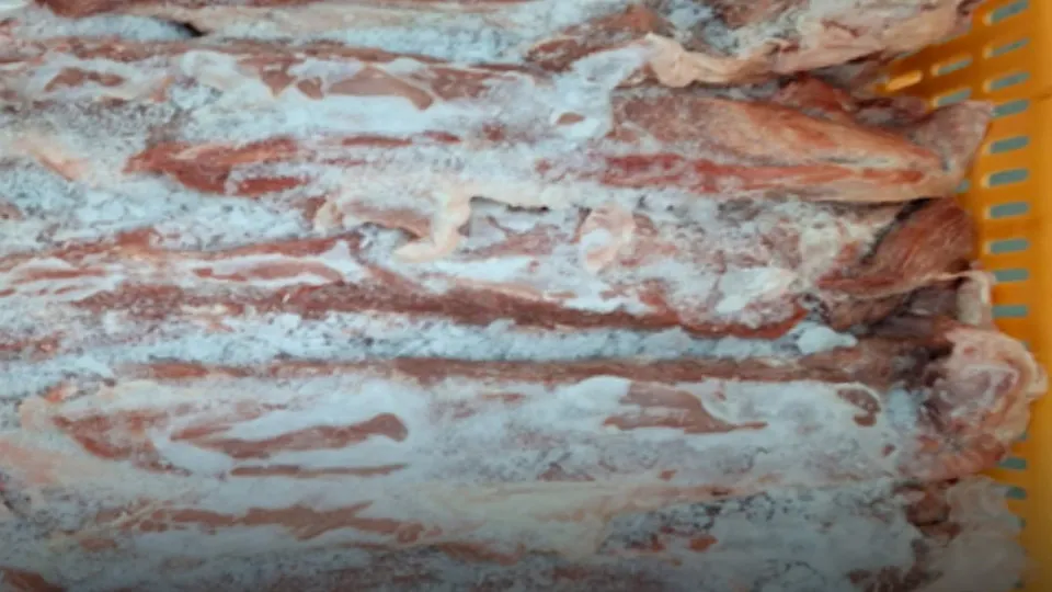 563 kilos of meat seized for "serious irregularities" in Faro