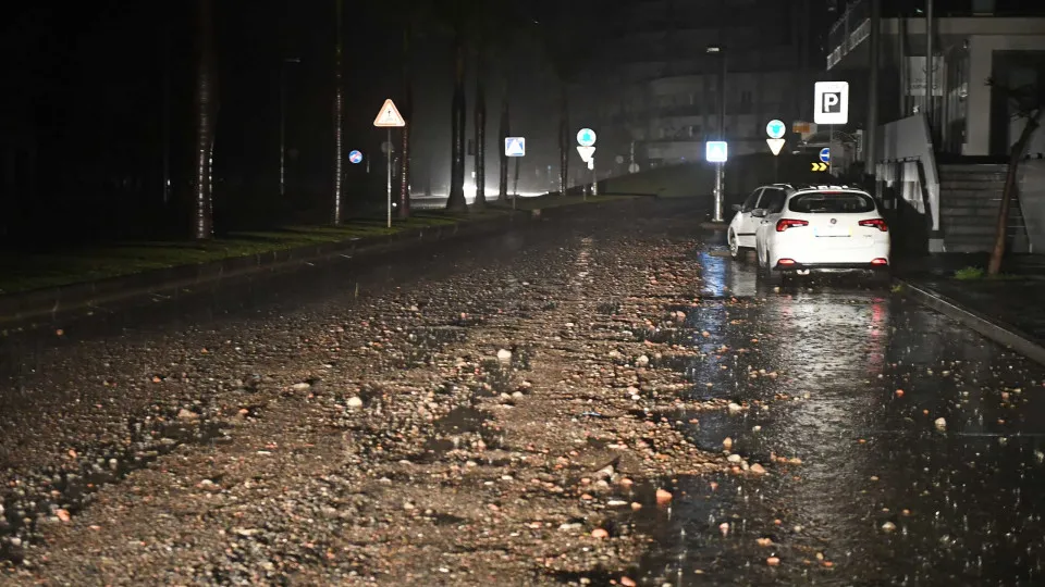 A relocated person and 349 incidents in the summary of depression Emília in Madeira