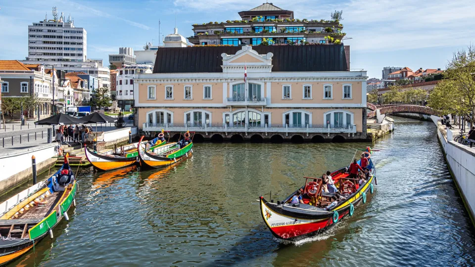Art of the Moliceiro Boats inscribed on the UNESCO Safeguarding List