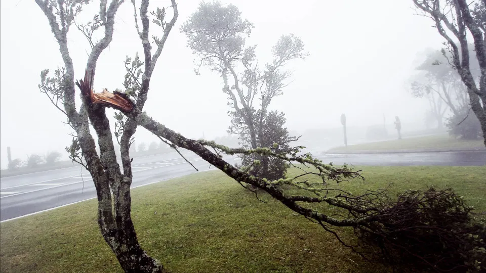 Bad weather causes 11 incidents on three islands of the Azores.