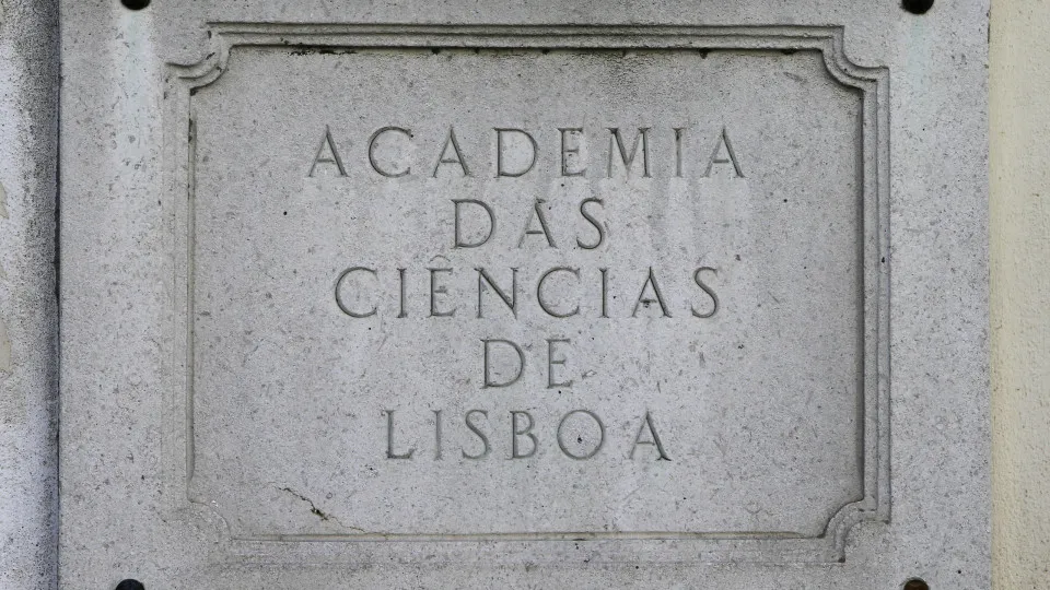 "Blackout" and "flotilla" in the words of the year of the Academy of Sciences