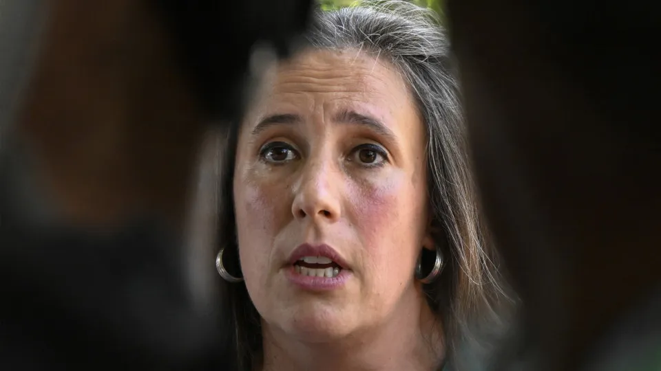 Book mentions "arrogant" labor package. Luís Montenegro's response.