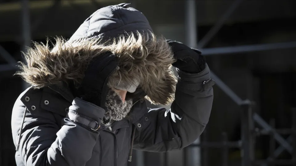 Cold, rain, or snow. What will the weather be like next week?