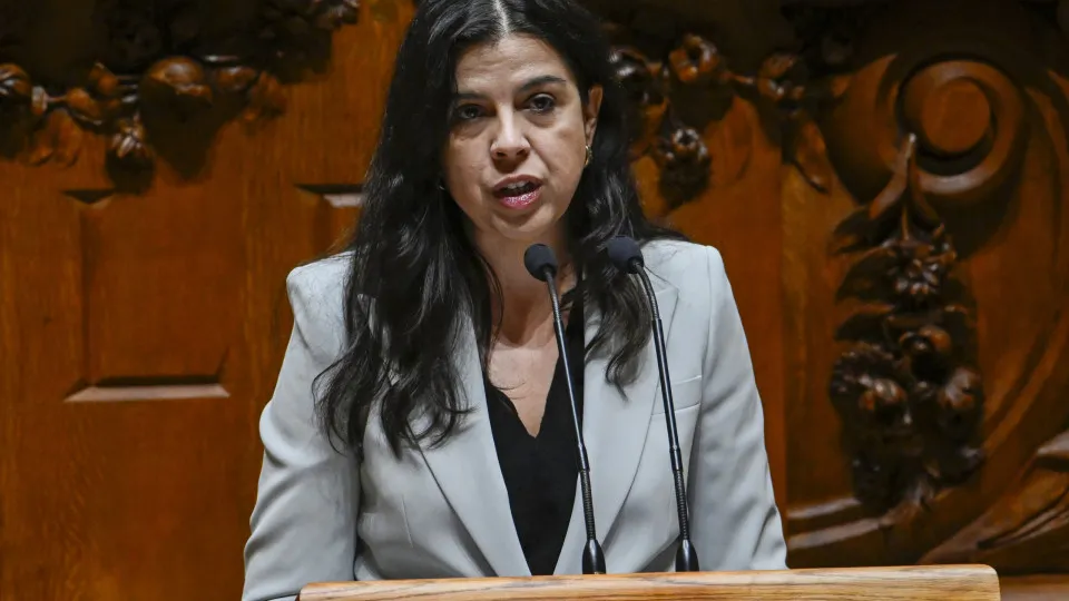 Council of Ministers on domestic violence PAN challenges Montenegro