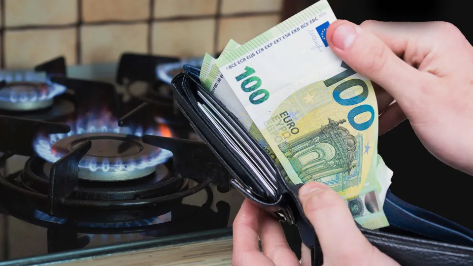 E-Lar: Suppliers can already say they want to continue in the program