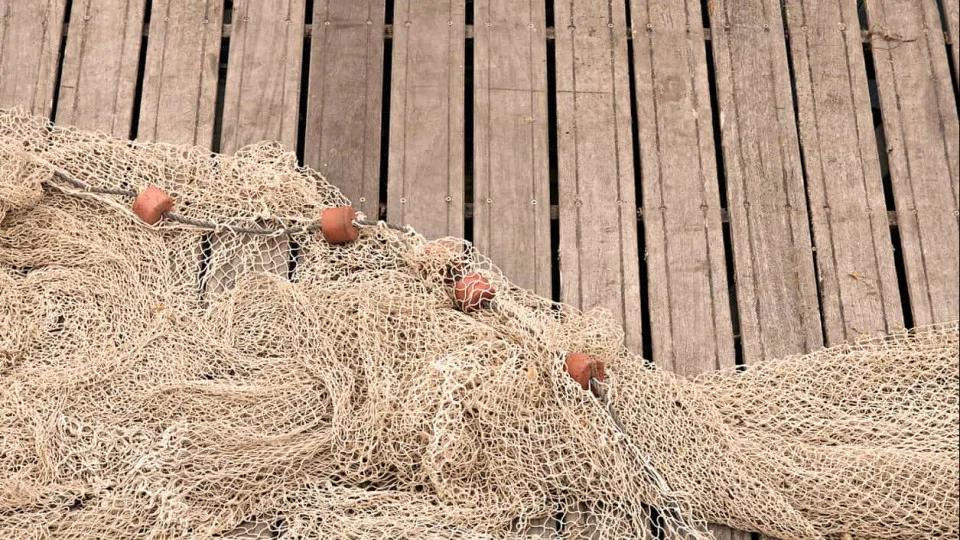 European Council approves fishing agreement between EU and United Kingdom for the year