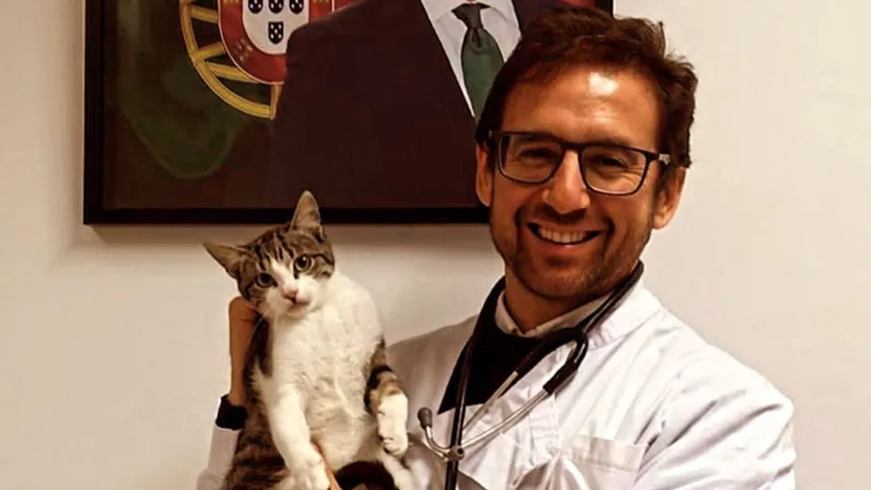 Frazão reportedly castrated the cat António at the Chega headquarters. Sousa Real reacts.