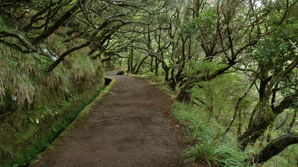 Hiking trails in Madeira closed due to bad weather forecast