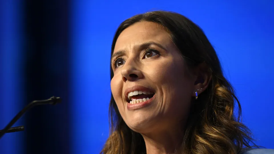 IL criticizes 89 working groups. Montenegro says they were a "good decision"