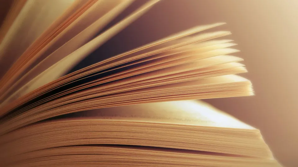 João Pimenta and Ana Mafalda Lopes among those awarded by the Academy of History