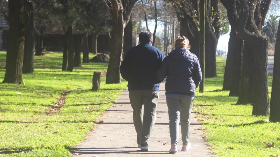 Lisbon City Council keeps free passes for those over 65 years old.