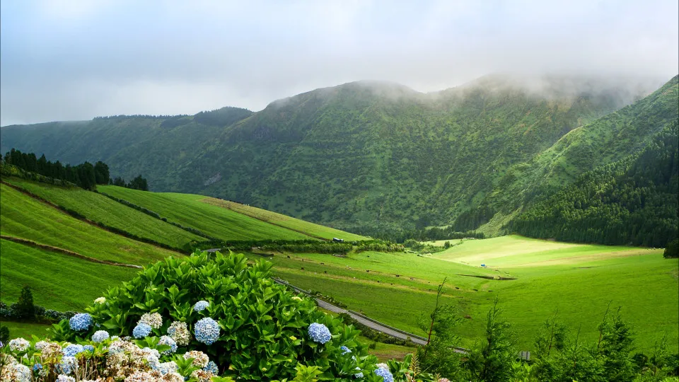 Magnitude 1.5 earthquake felt on Terceira Island