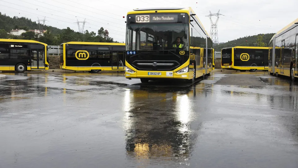 'Metrobus' between Coimbra and Serpins starts on Tuesday